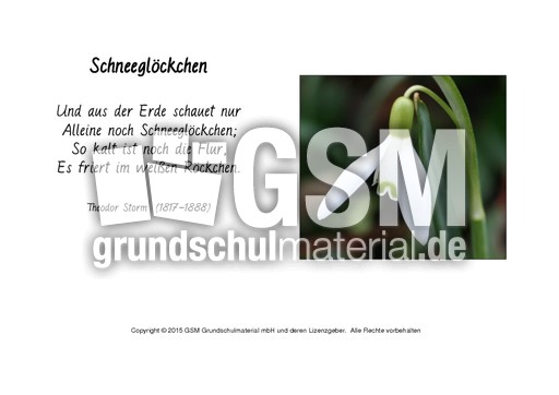 Schneeglöckchen-Storm.pdf